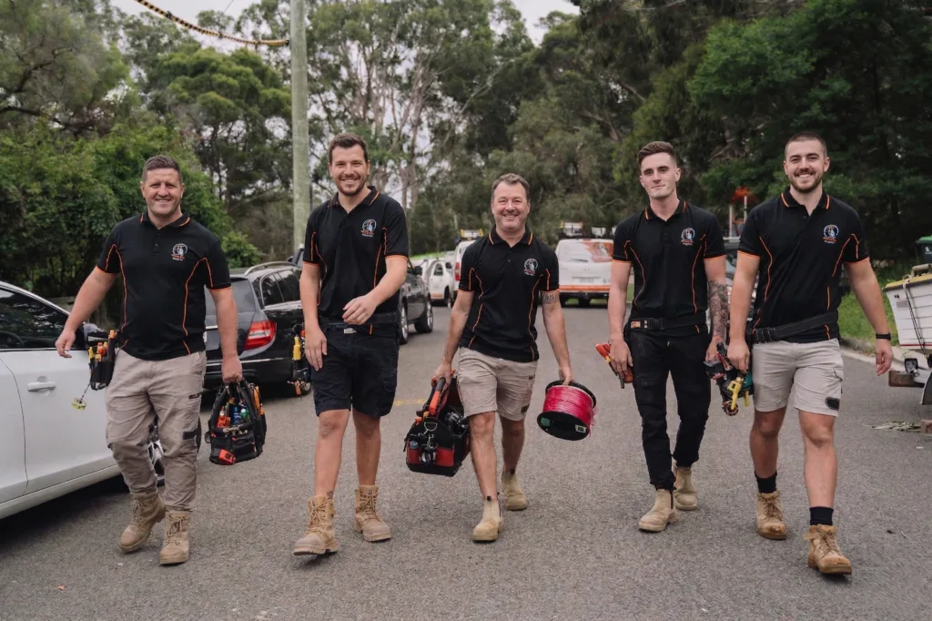 Professional electrical services in Rozelle